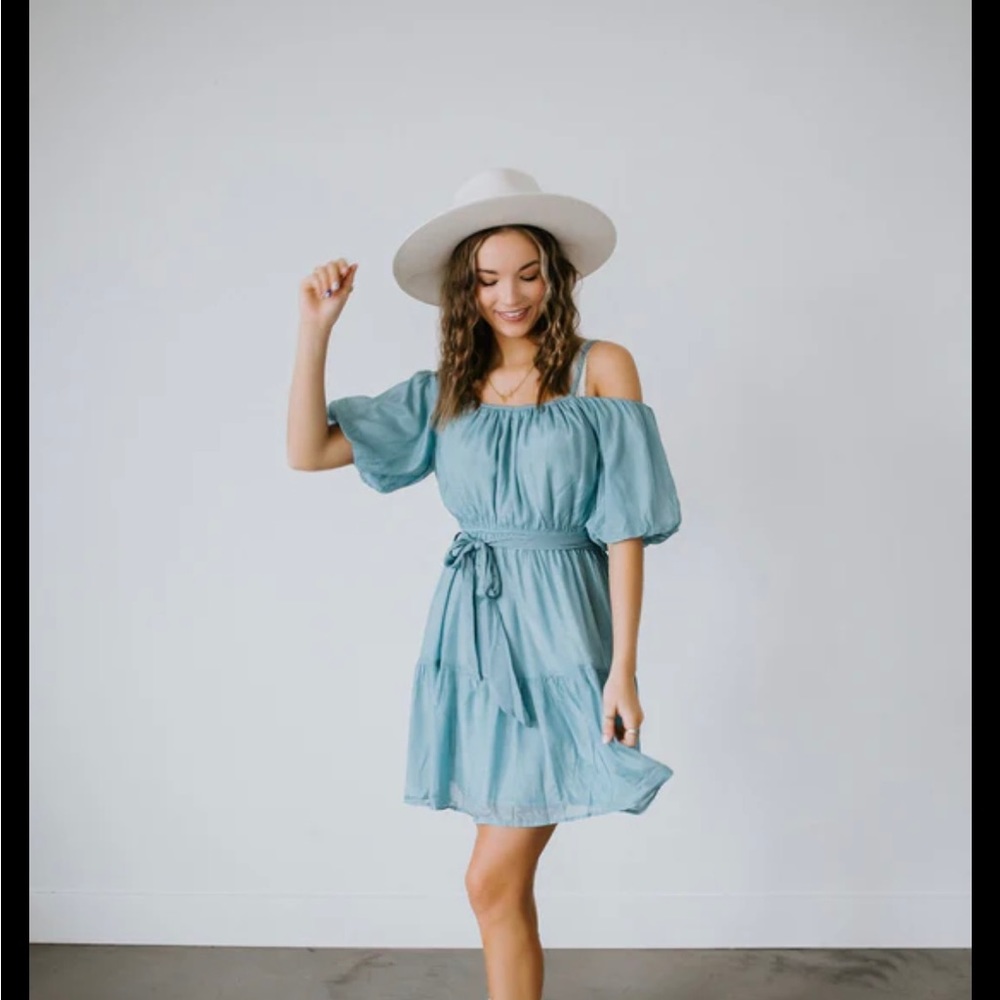 never worn! aveline shimmery flare dress